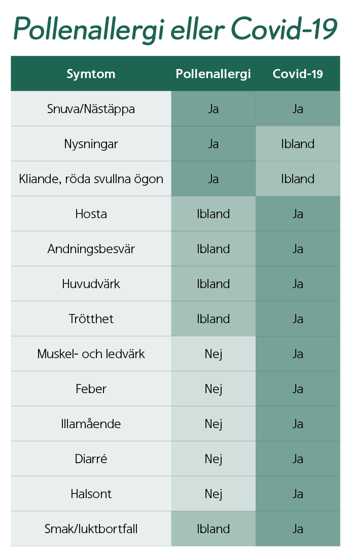 tabell över allergi