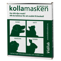 Bild på Kollamasken smådjur, 1 st