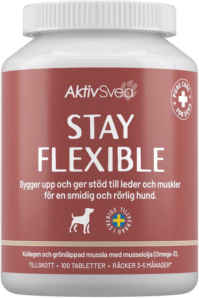 Bild på Aktiv Hund, 100 st