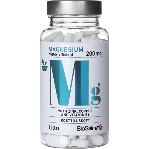 BioSalma Magnesium high efficient, 120 st