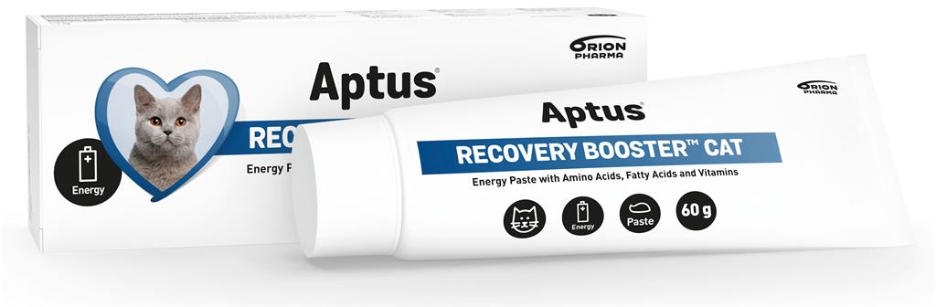 Bild på Aptus Recovery Booster Cat, 60 g