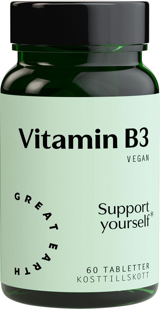 Bild på Great Earth Vitamin B3, 60 st