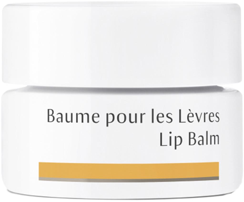 Bild på Dr. Hauschka Lip Balm, 4,5 ml