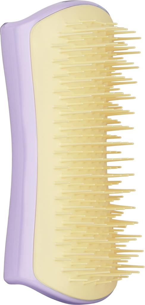 Bild på Pet Teezer Detangling Small, 1 st