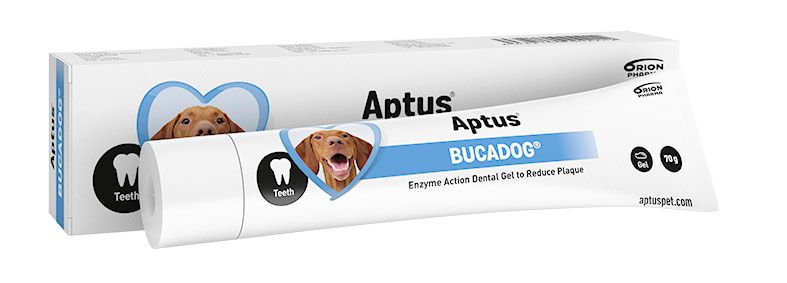 Bild på Aptus Bucadog oral pasta, 70 g