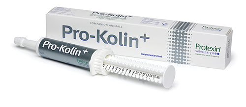 Bild på Pro-Kolin+ oral pasta, 15 ml