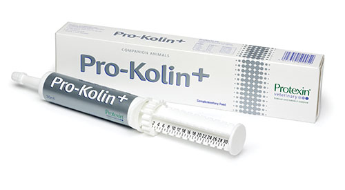 Bild på Pro-Kolin+ oral pasta, 30 ml