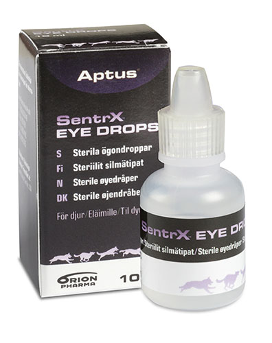 Blitz Metafor universitetsstuderende Köp Aptus SentrX Eye Drops, 10 ml | Apoteket.se